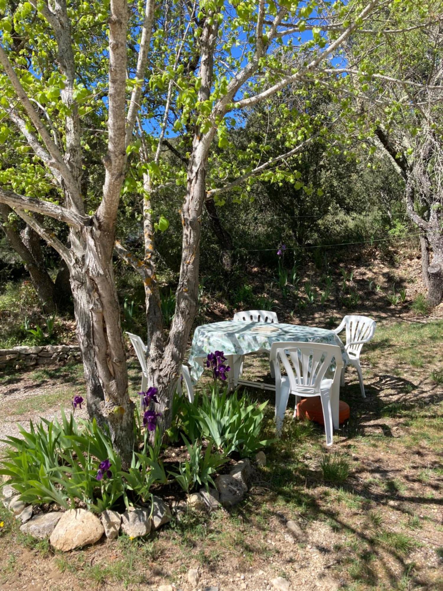 Maison Au Colorado Provencal Villa Rustrel Bagian luar foto