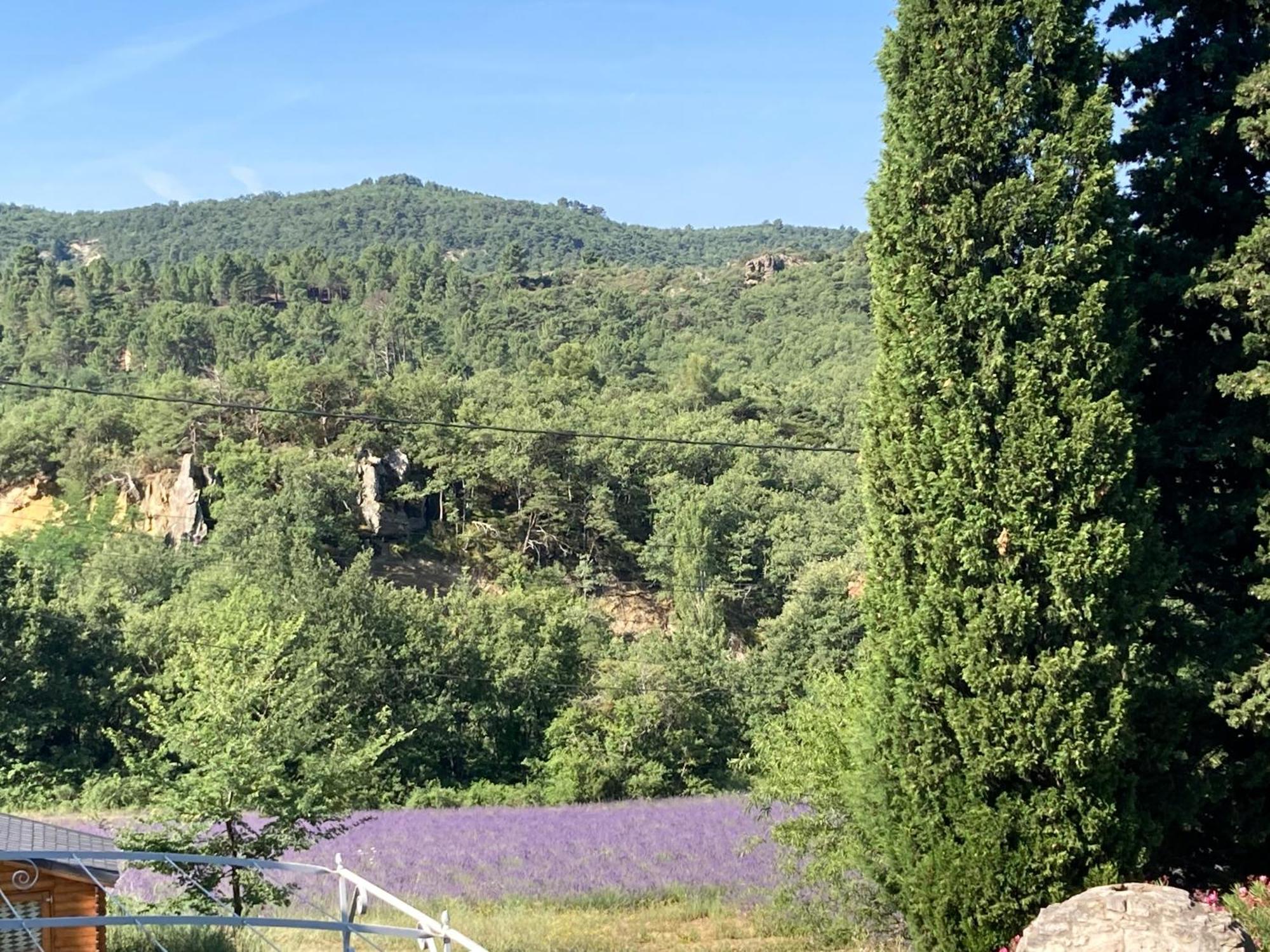 Maison Au Colorado Provencal Villa Rustrel Bagian luar foto