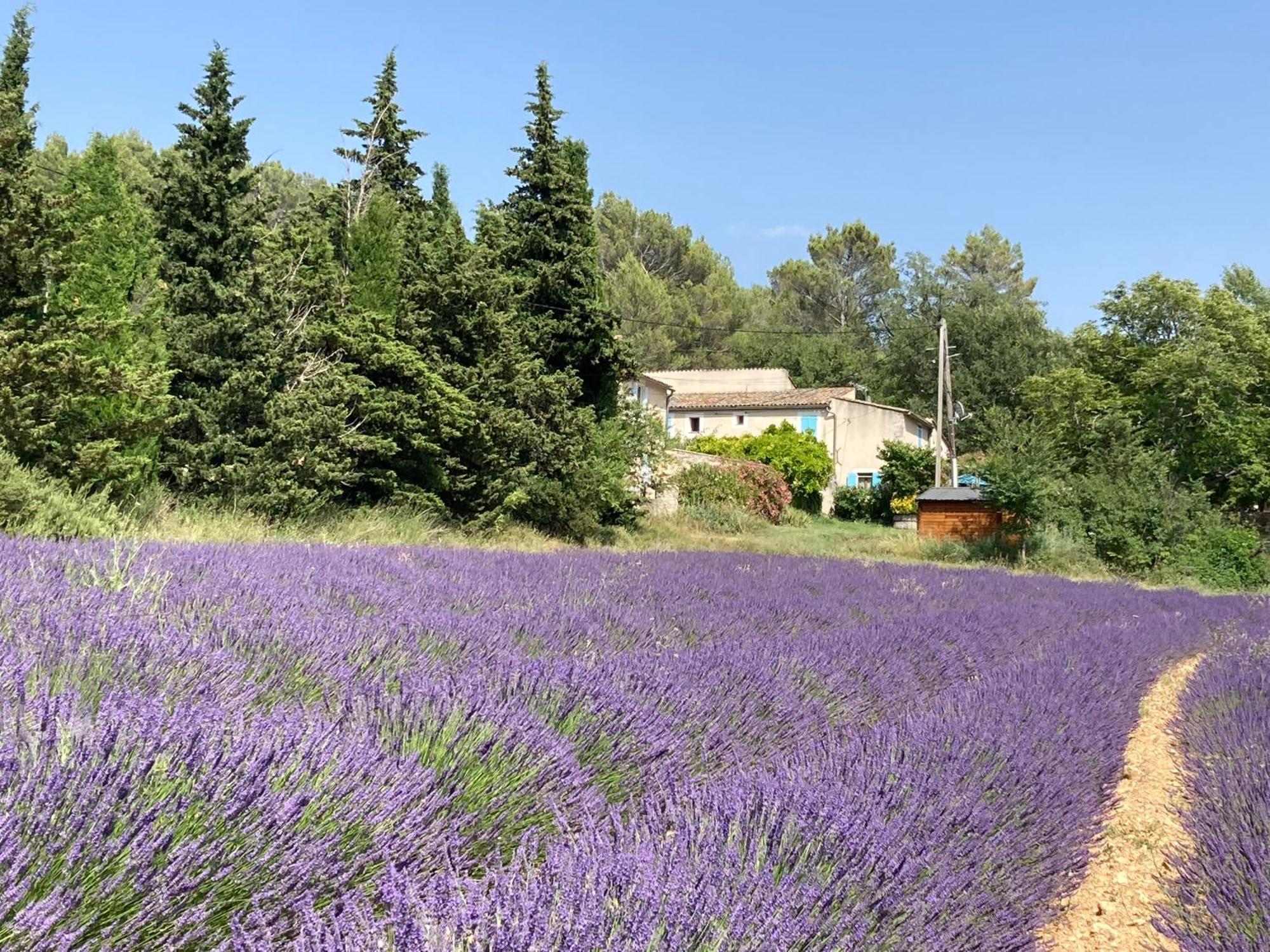 Maison Au Colorado Provencal Villa Rustrel Bagian luar foto